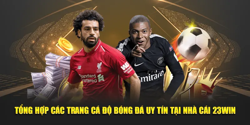 Tổng Hợp Các Trang Cá Độ Bóng Đá Uy Tín Tại Nhà Cái 23win